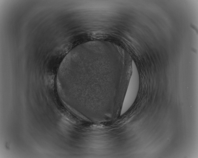 X0000091000271200708241457