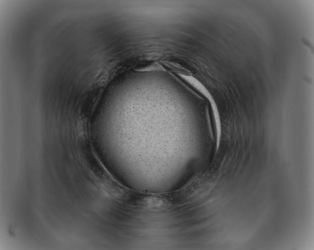 X0000091000272200708241457