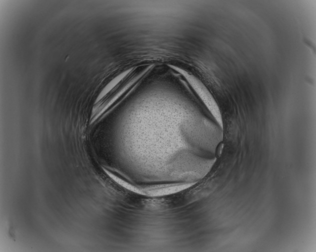 X0000091000273200708241457