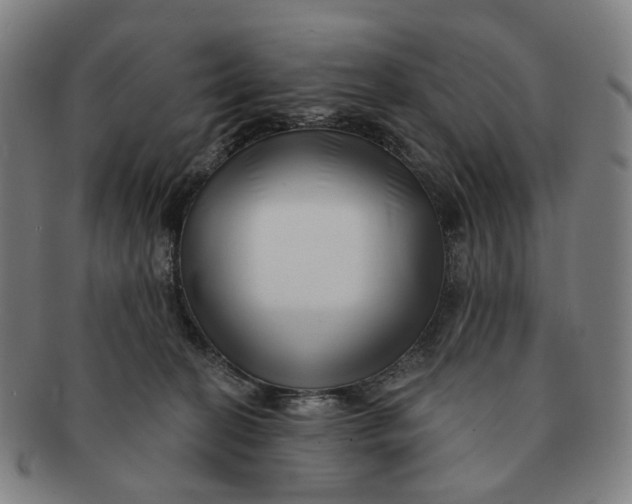 X0000091000274200708241457