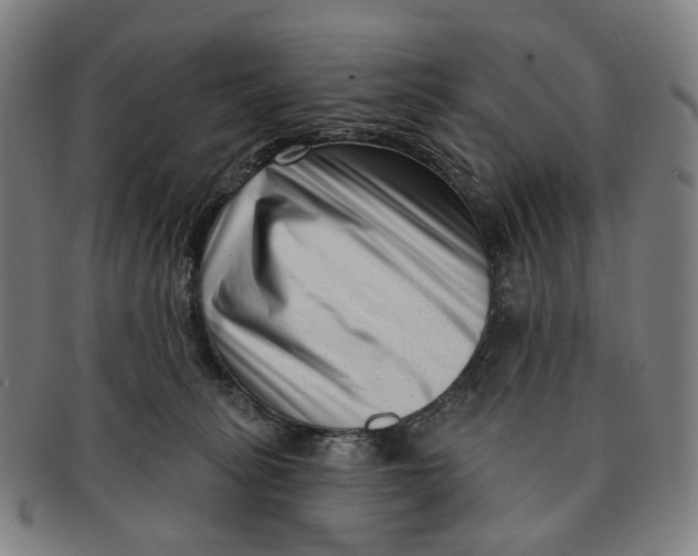 X0000091000275200708241457