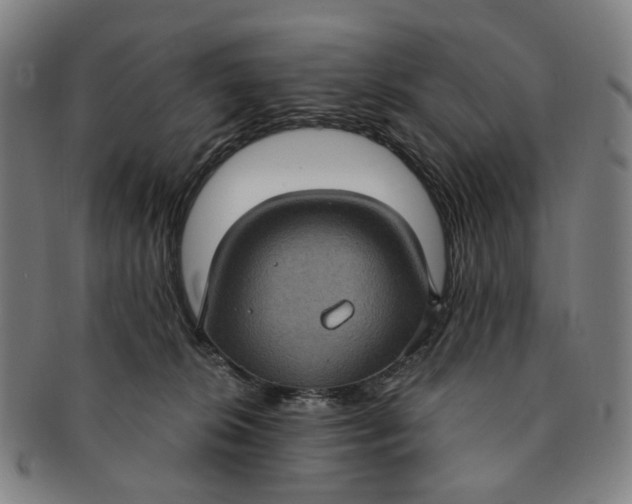 X0000091000276200708241457