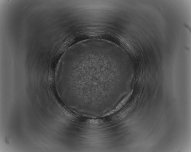 X0000091000277200708241457