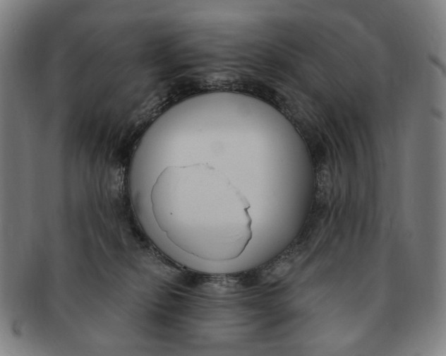 X0000091000278200708241457