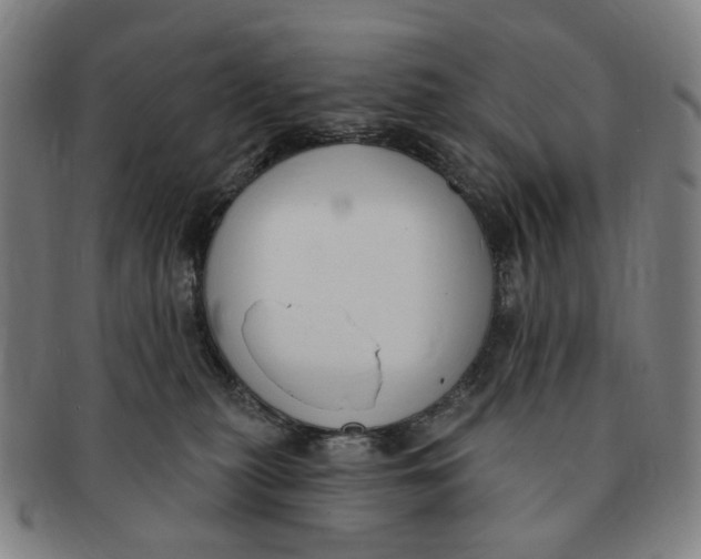 X0000091000279200708241457