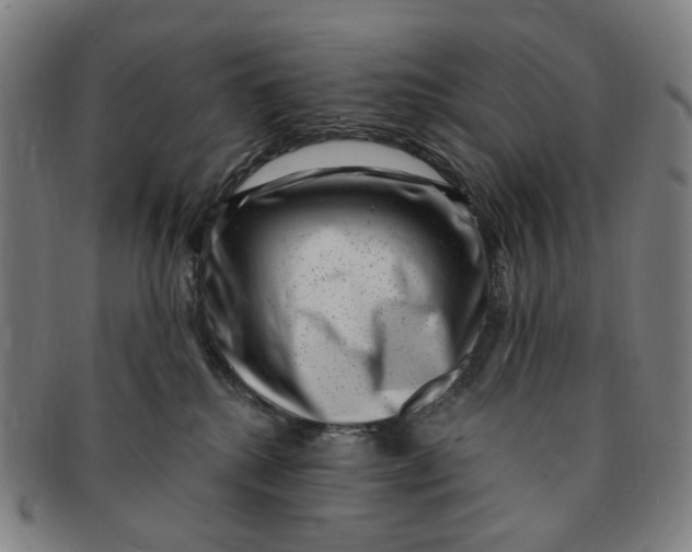 X0000091000280200708241457