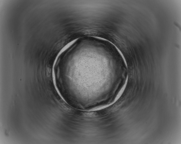 X0000091000281200708241457