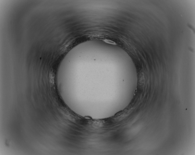 X0000091000282200708241457