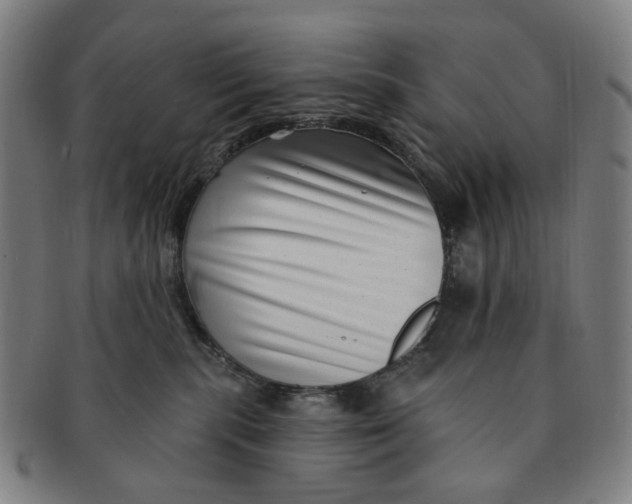 X0000091000283200708241457