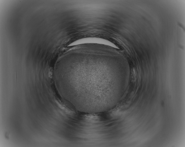 X0000091000284200708241457