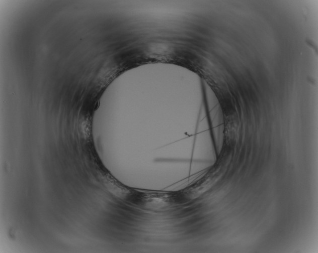 X0000091000285200708241457