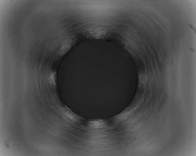 X0000091000286200708241457