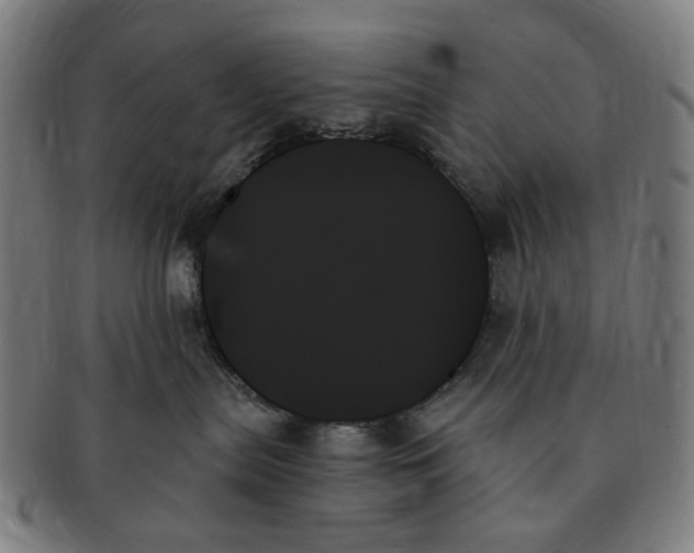 X0000091000287200708241457