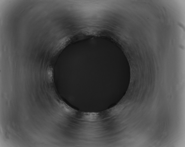 X0000091000288200708241457