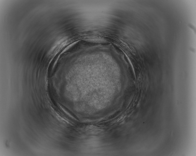 X0000091000290200708241456