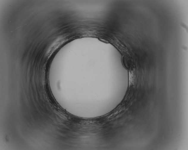 X0000091000291200708241456