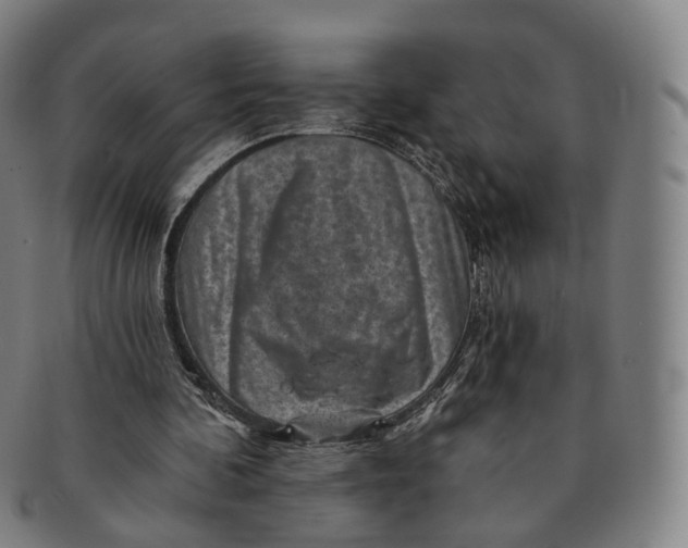 X0000091000292200708241456