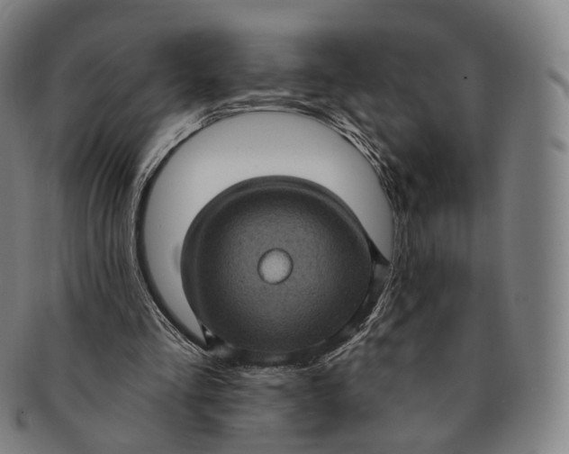 X0000091000293200708241456