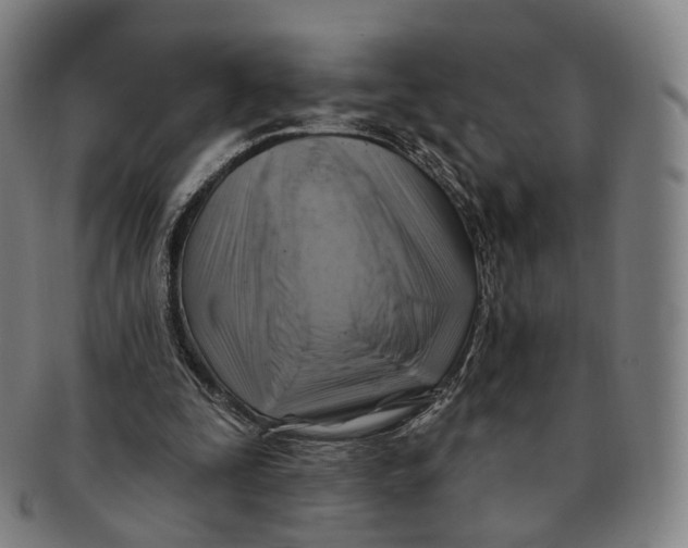 X0000091000295200708241456