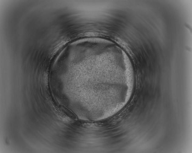 X0000091000297200708241456