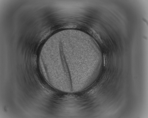 X0000091000300200708241456