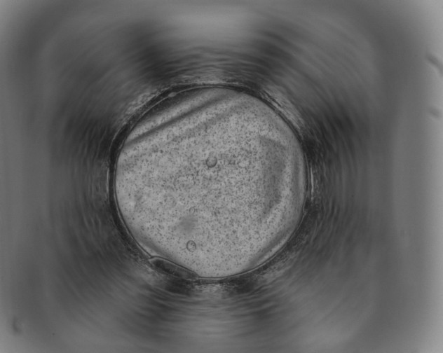 X0000091000301200708241456