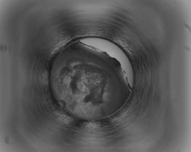 X0000091000303200708241456