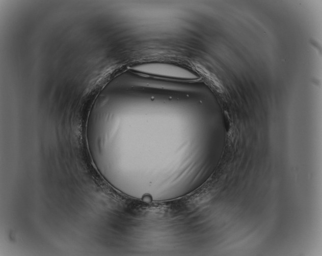 X0000091000306200708241456