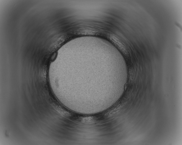 X0000091000309200708241456