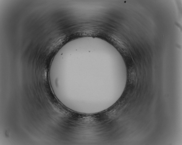 X0000091000310200708241456