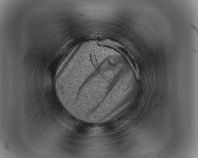 X0000091000312200708241456