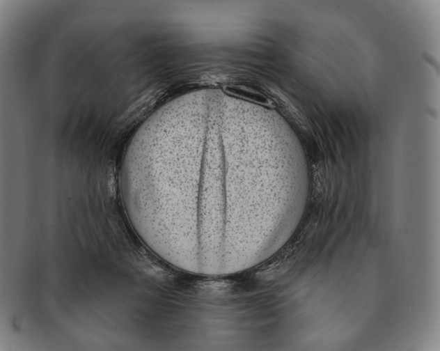 X0000091000313200708241456