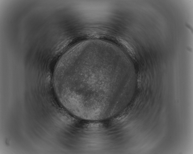 X0000091000314200708241455