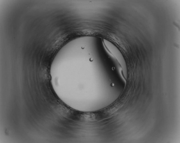 X0000091000317200708241455