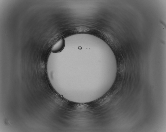 X0000091000321200708241455