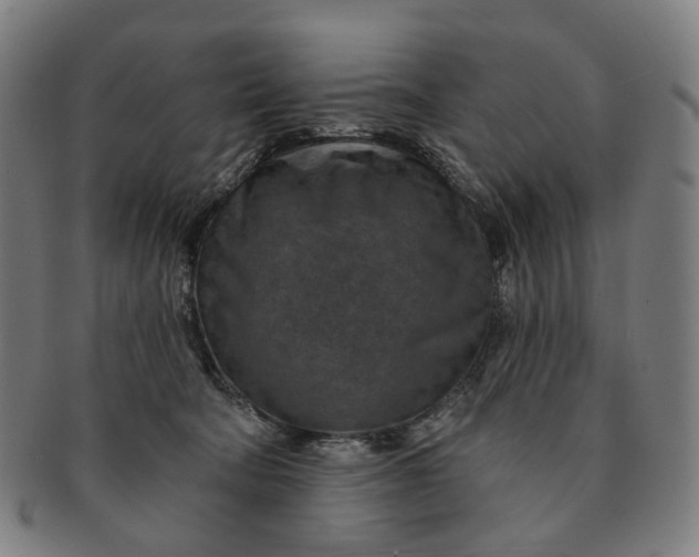 X0000091000322200708241455