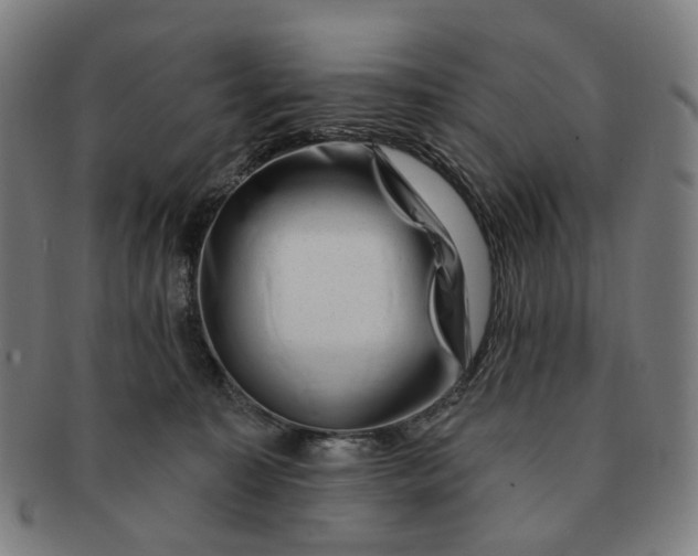 X0000091000323200708241455