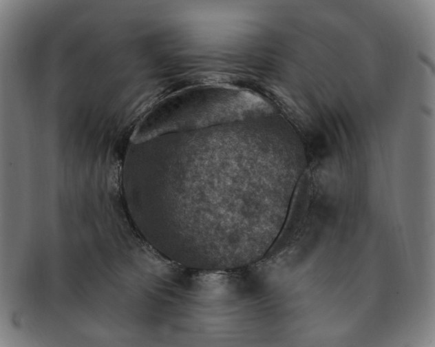 X0000091000325200708241455