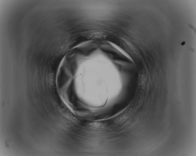 X0000091000326200708241455