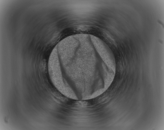 X0000091000328200708241455