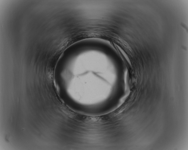 X0000091000329200708241455