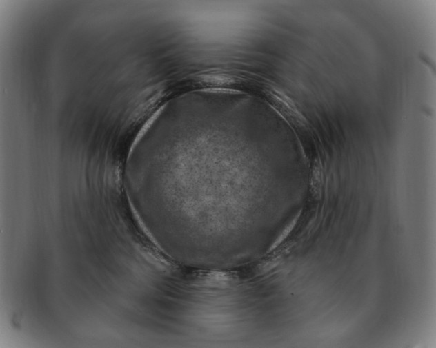 X0000091000330200708241455