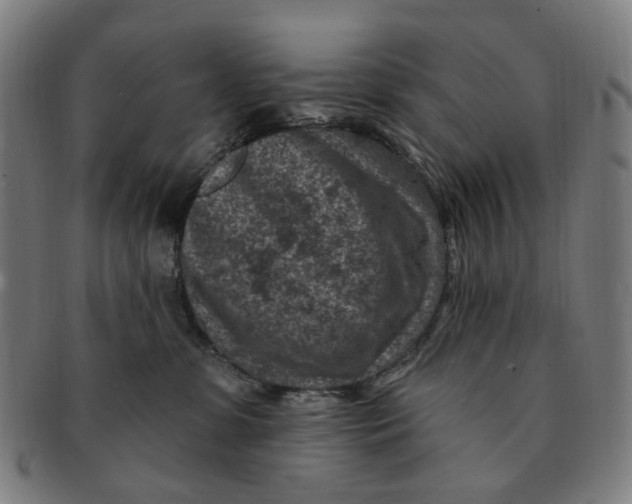 X0000091000331200708241455