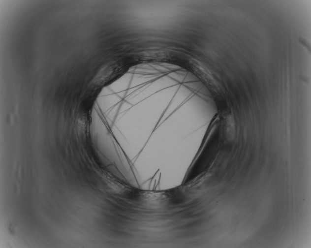 X0000091000333200708241455