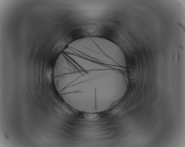 X0000091000334200708241455