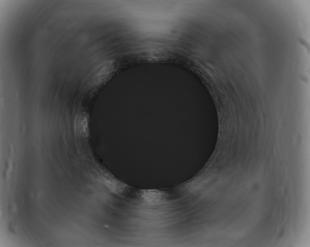 X0000091000336200708241455