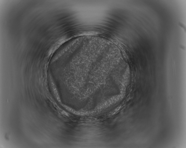 X0000091000337200708241454