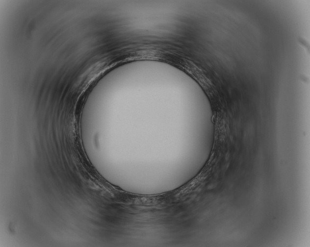 X0000091000338200708241454