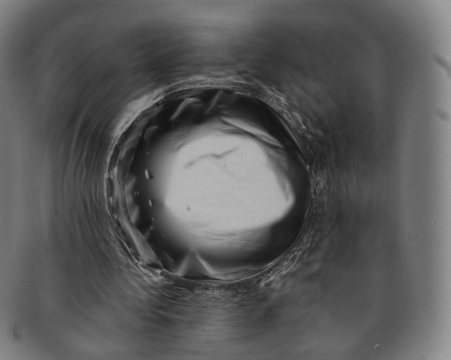 X0000091000340200708241454