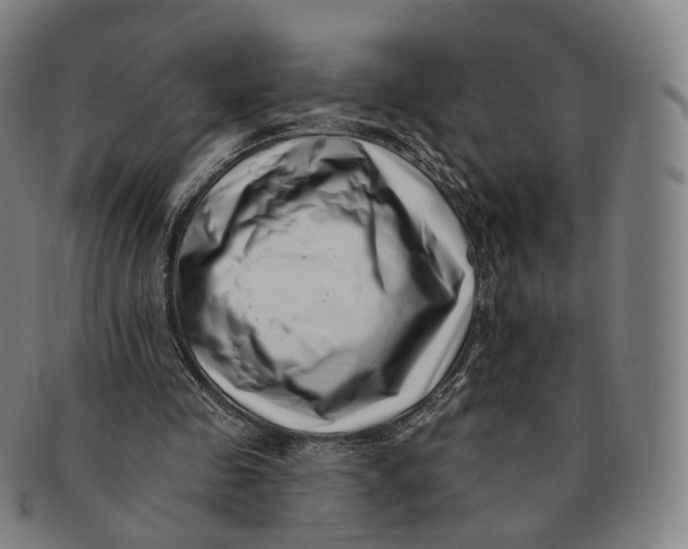 X0000091000341200708241455